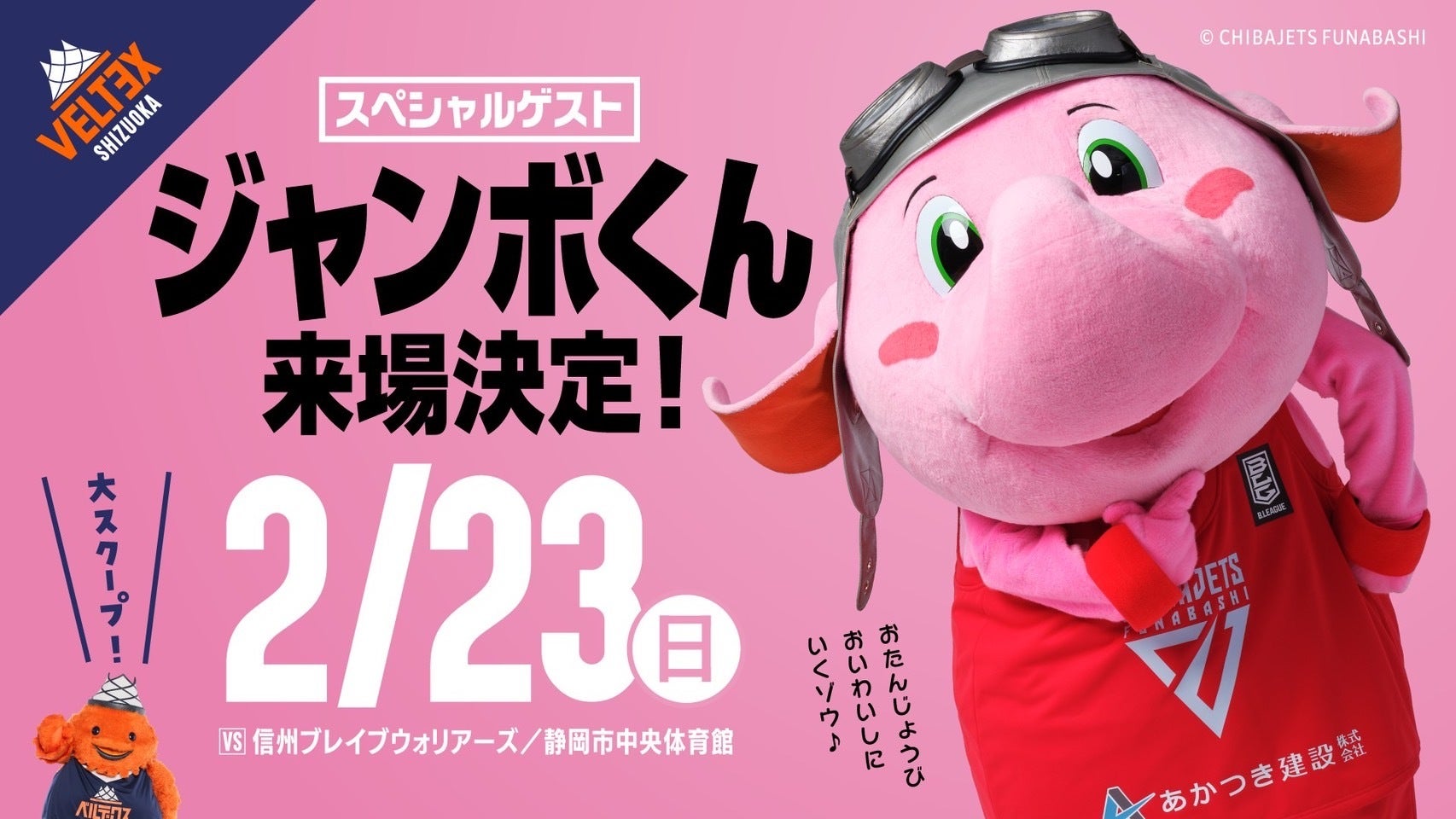 2月23日(日)はベルティの誕生日!